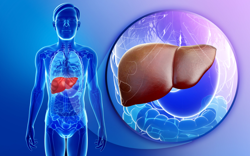 Fight Fatty Liver Disease
